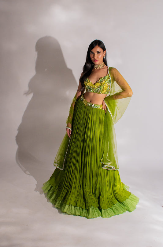 Enchanting Georgette Ruched Lengha: Embroidered Blouse and Ethereal Net Dupatta
