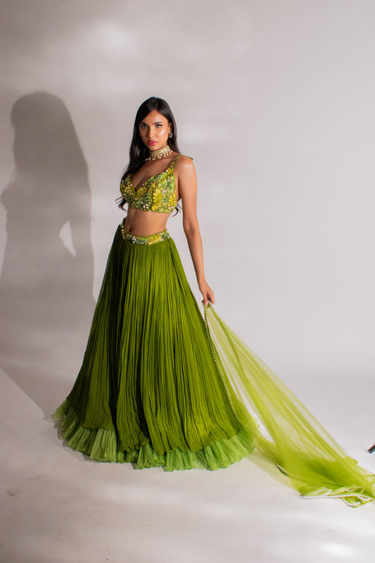 Enchanting Georgette Ruched Lengha: Embroidered Blouse and Ethereal Net Dupatta